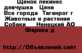 Щенок пекинес девчушка › Цена ­ 2 500 - Все города, Таганрог г. Животные и растения » Собаки   . Ненецкий АО,Фариха д.